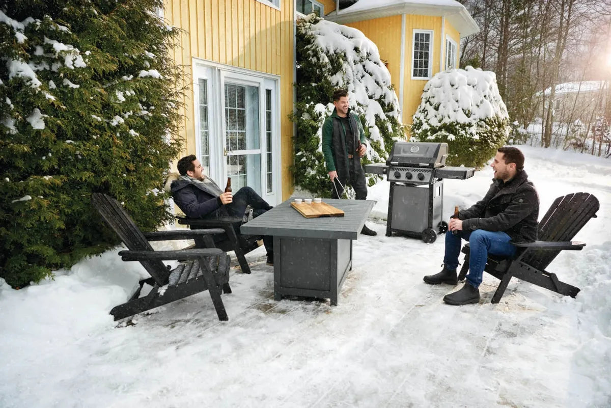 Napoleon Freestyle 365 SB gas bbq